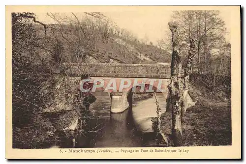 Ansichtskarte AK Mouchamps Vendee Paysage au pont de Boissiere sur le Lay