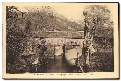 Cartes postales Mouchamps Vendee Paysage au pont de Boissiere sur le Lay