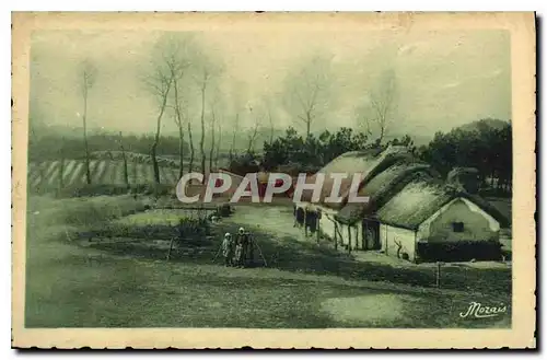 Cartes postales Les plus Beaux paysages de la Vendee Maraichine Bourine a Orguet pres Saint Jean de Monts