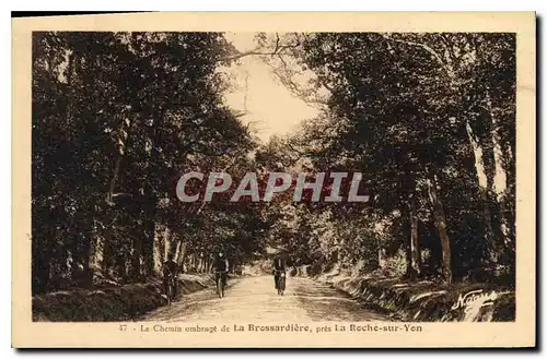 Cartes postales Le Chemin ombrage de la Bressardiere pres la Roche sur Yon