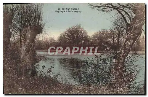 Cartes postales Chantonnay Paysage a Touchegray