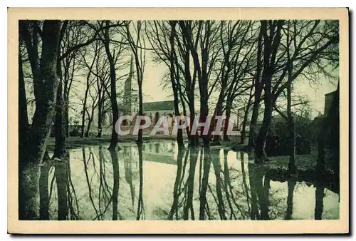 Cartes postales Les plus Beaux Paysages de la Vendee Maraichine