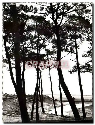 Cartes postales Entre la Faute sur Mer et la Tranche sur Mer la Belle Henriette