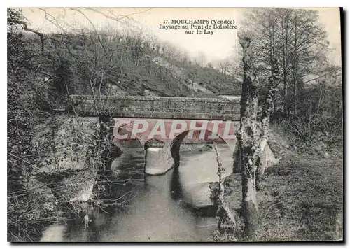 Ansichtskarte AK Mouchamps Vendee Paysage au pont de Boissiere sur le Lay