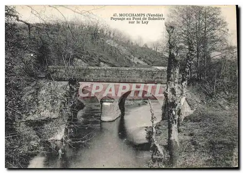 Cartes postales Mouchamps Vendee Paysage au pont de Boissiere sur le Lay