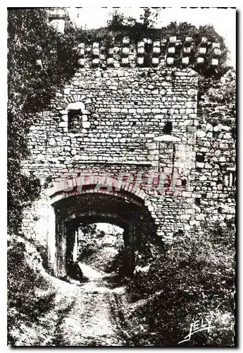 Ansichtskarte AK Tiffauges Vendee Ruines du chateau l'entree