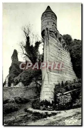 Ansichtskarte AK Remparts de l'ancienne Abbaye de Maillezais Vendee