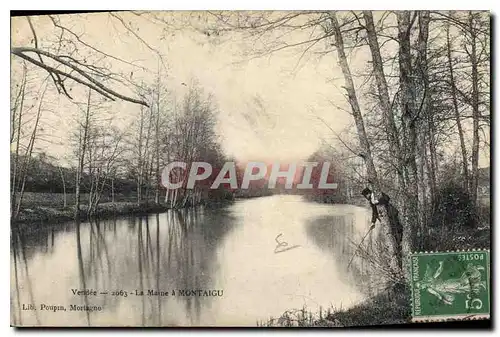 Ansichtskarte AK Vendee la Maine a Montaigu Peche Pecheur