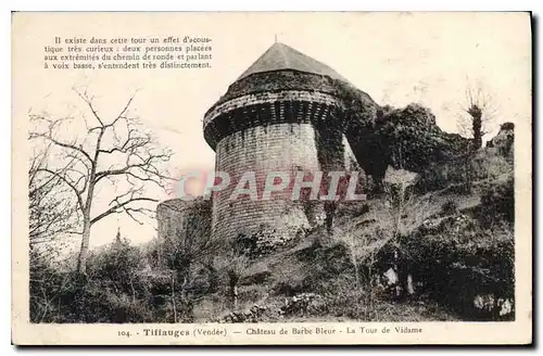 Cartes postales Tiffauges Vendee chateau de Barbe Bleue la tour de Vidame