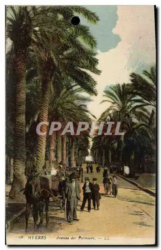 Cartes postales Hyeres Avenue des Palmiers