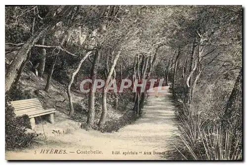 Cartes postales Hyeres Costebelle