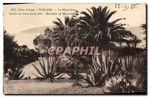 Cartes postales Cote d'Azur Toulon Le Mourillon Jardin au bord de la mer