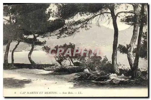 Cartes postales Cap Martin et Meton Sous Bois