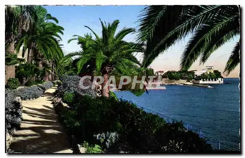 Ansichtskarte AK Beaulieu sur Mer Le Jardin Exotique