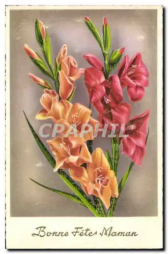 Cartes postales Bonne Fete Maman Fleurs
