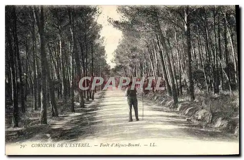 Ansichtskarte AK Corniche de L'Esterel Foret d'Aigues Boumi