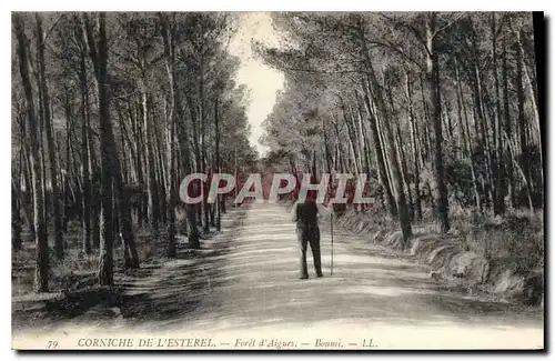 Ansichtskarte AK Corniche de L'Esterel Foret d'Aigues Boumi