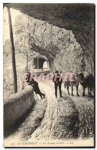 Cartes postales Le Dauphine Les Grands Goulets Vaches