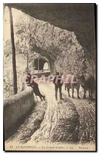 Cartes postales Le Dauphine Les Grands Goulets Vaches