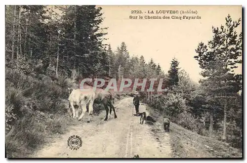 Cartes postales La Louvesc Ardeche Sur le Chemin des Cinq Fayards Vaches