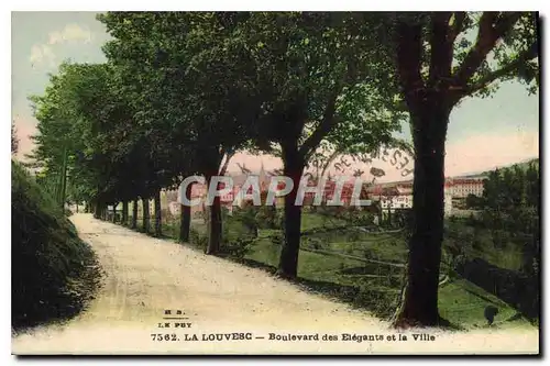 Cartes postales La Louvesc Boulevard des Elegants et la Ville