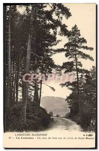 Ansichtskarte AK L'Ardeche Illustree La Louvesc Un coin du bois sur la route de Saint Bonnet