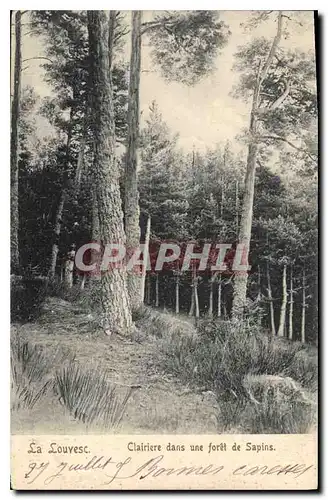 Cartes postales La Louvesc Clairiere dans une foret de Sapins