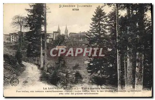 Cartes postales La Louvesc Vue a Travers les Sapins