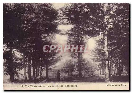 Cartes postales La Louvesc Les Allees de Versailles