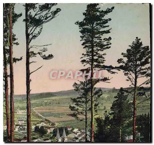 Cartes postales La Louvesc Ardeche vue generale