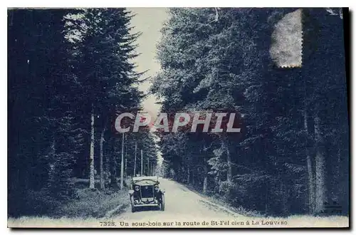 Ansichtskarte AK Un sous bois sur la route de St Fel olen a La Louvesc Automobiel