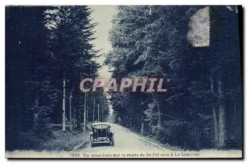 Cartes postales Un sous bois sur la route de St Fel olen a La Louvesc Automobiel