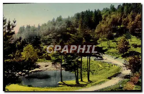 Cartes postales La Louvesc Ardeche Etang du Val d'Or