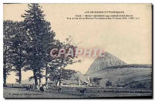 Cartes postales Les Cevennes Pittoresque Mont Gerbier des Joncs (Cote Nord) Vue prise de la Maison Forestiere de
