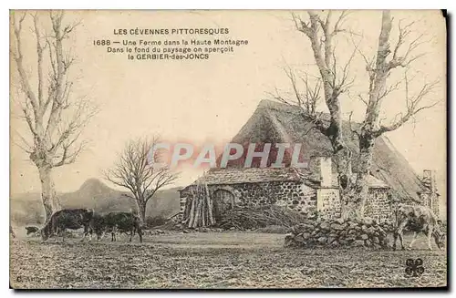 Cartes postales Les Cevennes Pittoresques Une Ferme dans la Haute Montagne dans le Fond du paysage on apercoit l