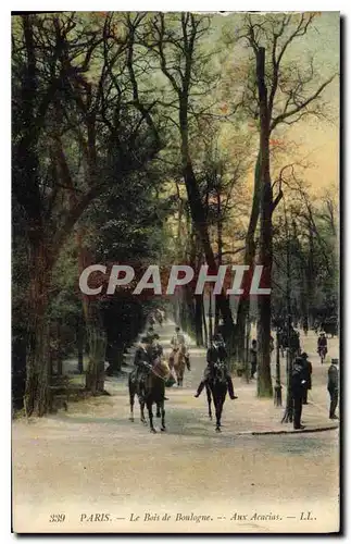 Ansichtskarte AK Paris Le Bois de Boulogne Aux Acacias