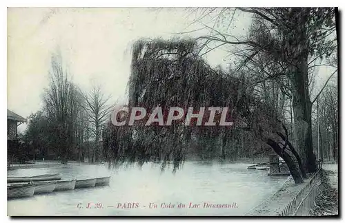 Cartes postales Paris Un Coin du Lac Baumesnil