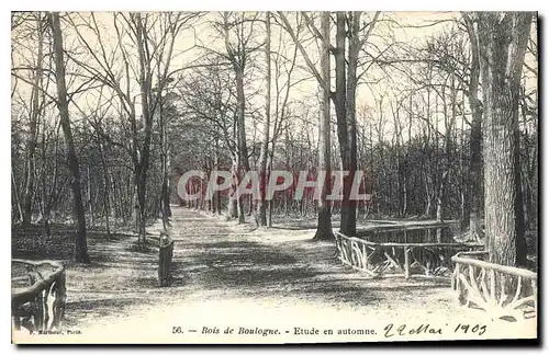 Cartes postales Paris Bois de Boulogne Etude en autonne