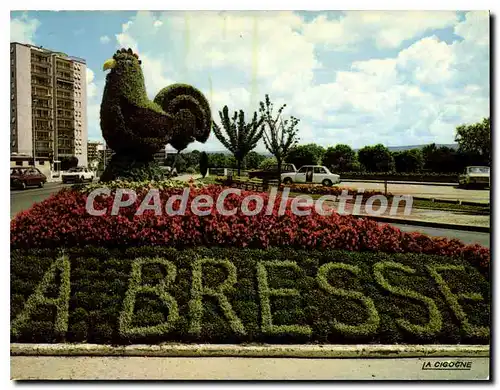 Cartes postales Bourg En Bresse Ain Ville Fleurie Art Floral le Coq de Bresse