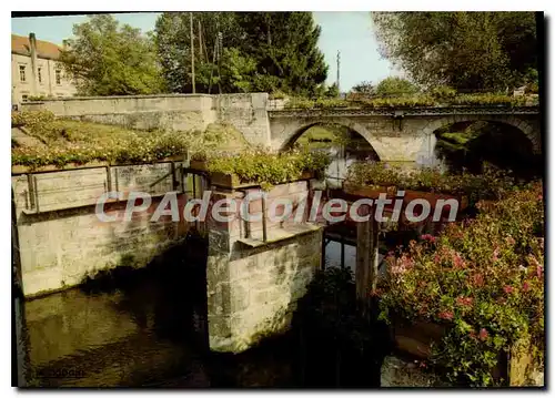 Cartes postales Chatillon sur Chalaronne les rives fleuries de la Chalaronne
