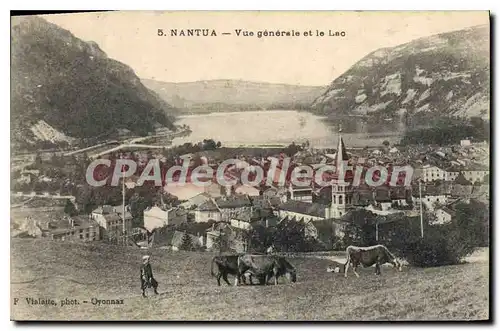Cartes postales Nantua vue generale et le Lac