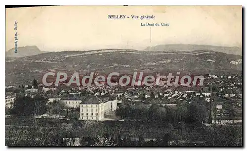 Cartes postales Belley vue generale le Dent du Chat