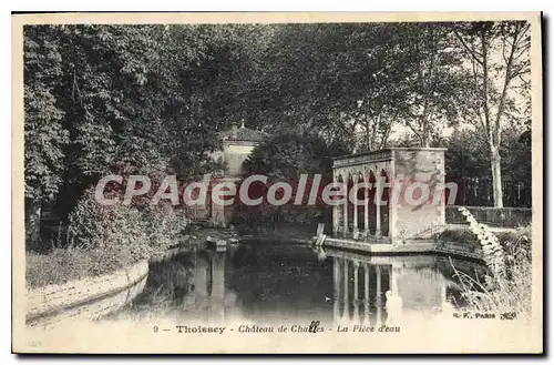 Cartes postales Thoissey Chateau de Challes la Piece d'eau