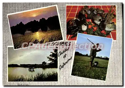 Cartes postales Les Dombes Camargue Lyonnaise Coucher de Soleil sur un etang Faisans Col Vert et Perdrix les Che