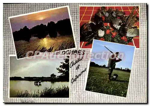 Cartes postales Les Dombes Camarague Lyonnaise Coucher de Soleil sur un etang faisans Col Vert et Perdrix les ch