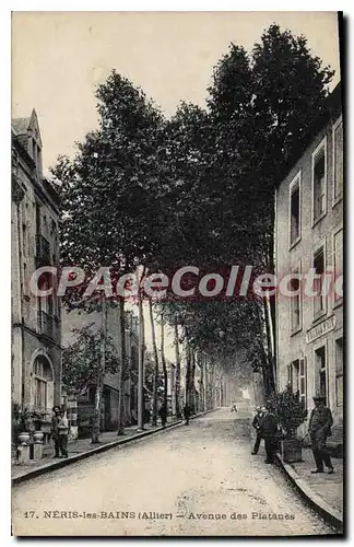 Cartes postales Neris les Bains Allier Avenue des Platanes