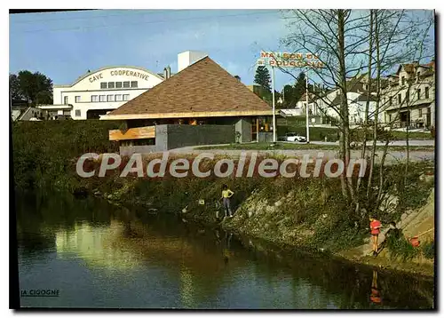 Cartes postales Saint Pourcain sur Sioule Allier Ses Vins reputes La Maison du Saint Pourcain