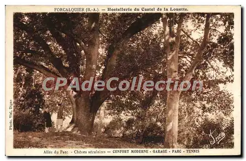 Cartes postales Forcalquier B A Hostellerle du Castel de la Louette Alle du Parc Chenes seculares Confort Modern