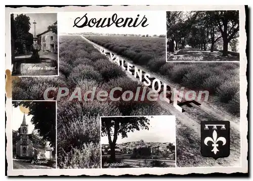 Cartes postales La Route de la Lavande Vallensole B A Souvenir