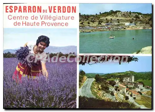 Ansichtskarte AK Esparron de Verdon Alpes de Haute Provence village provencal dominant le lac forme par la barrag